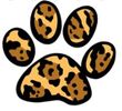 paw